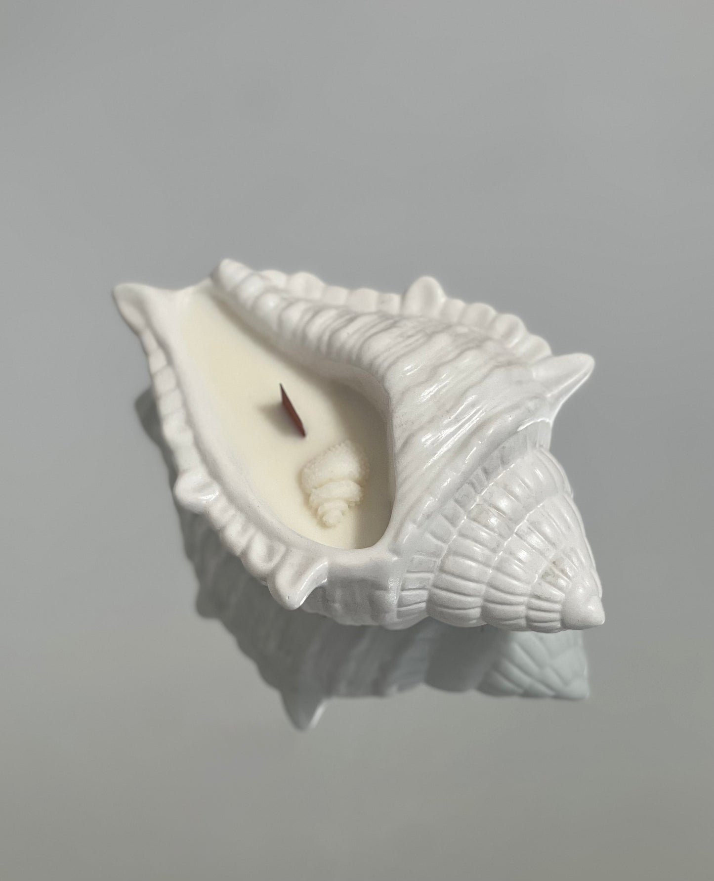Shell and Flame