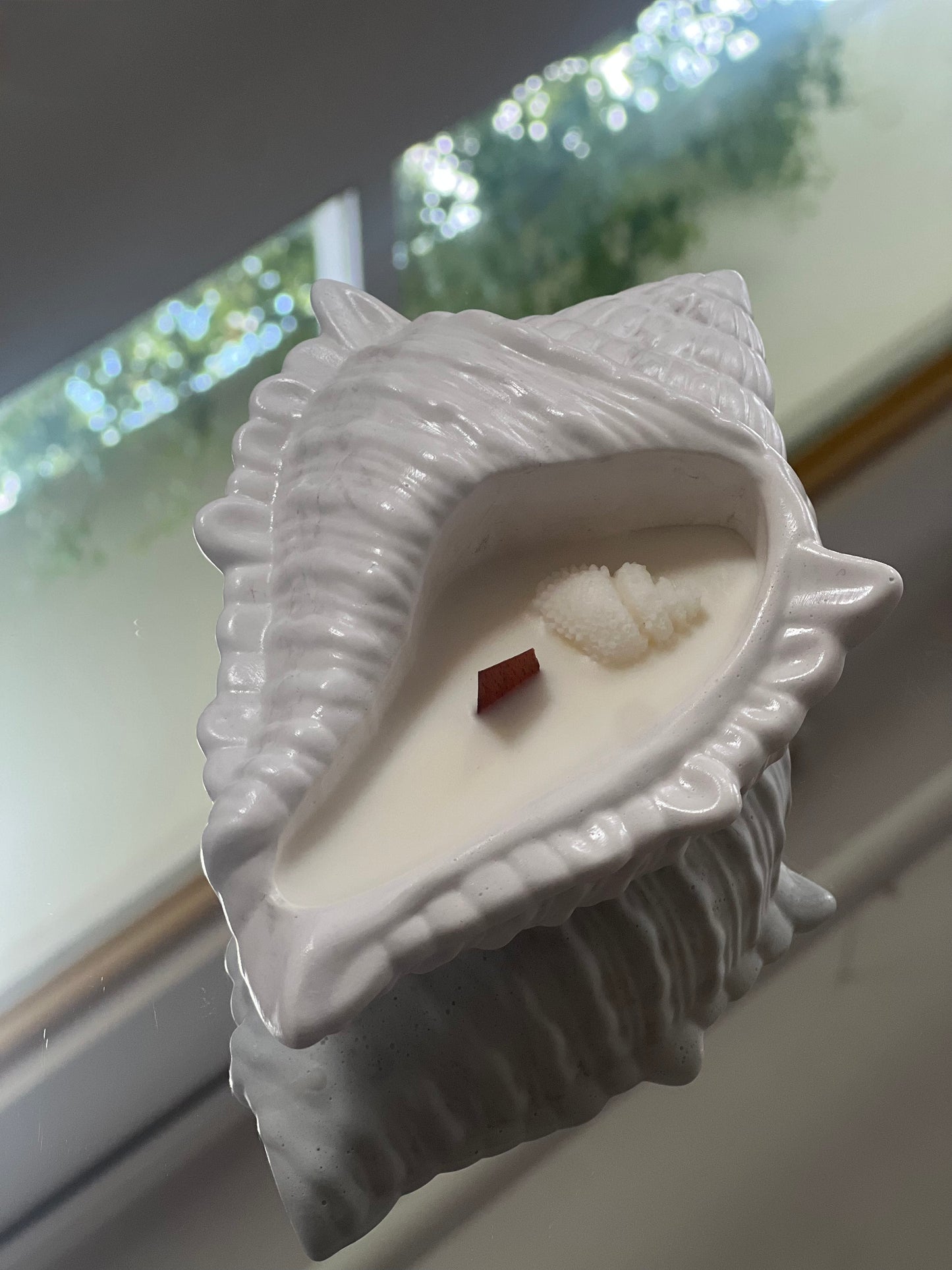 Shell and Flame