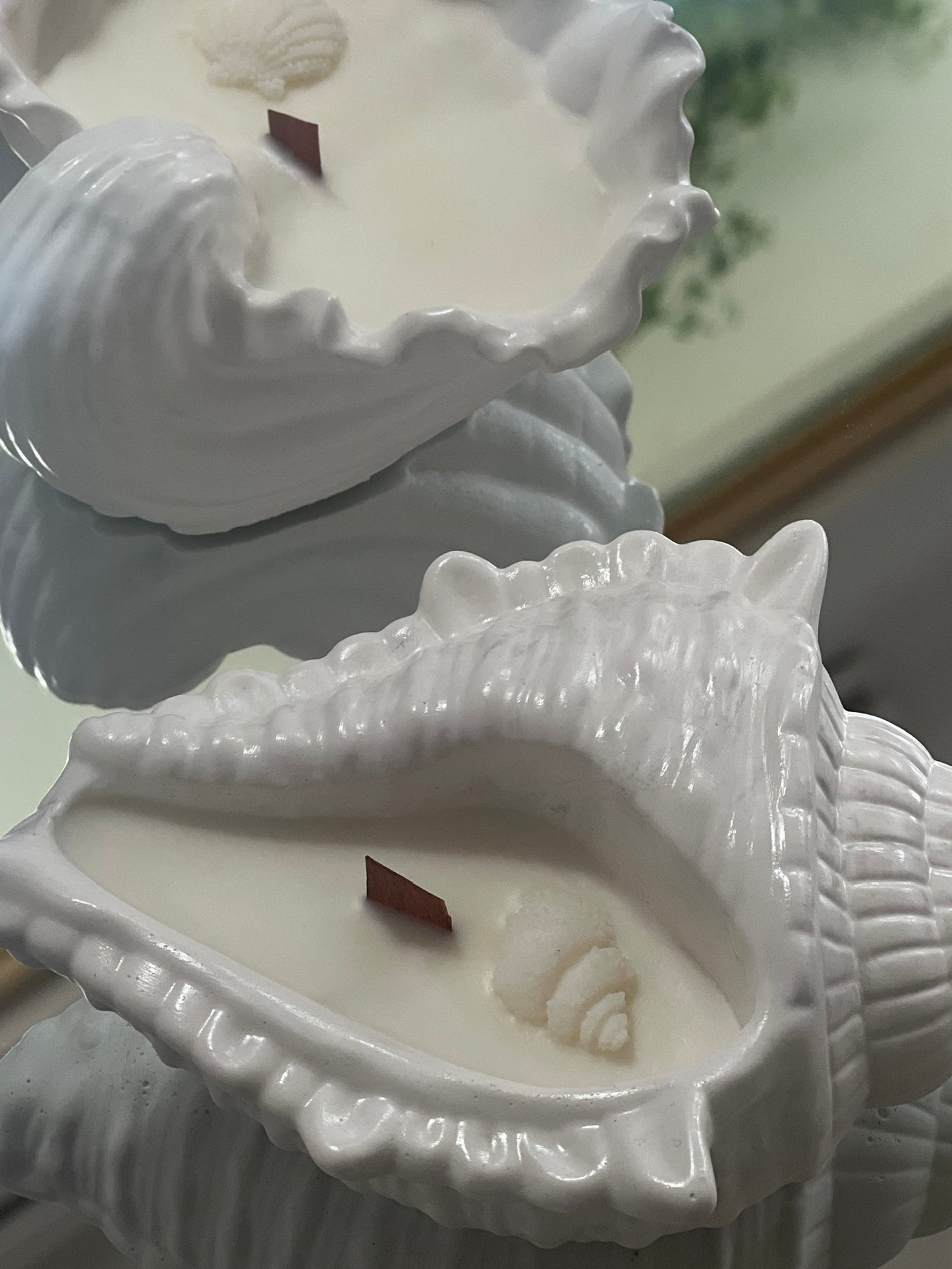 Shell and Flame
