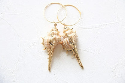 Sea shell Earrings