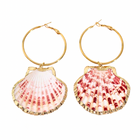 Sea Shell Earrings