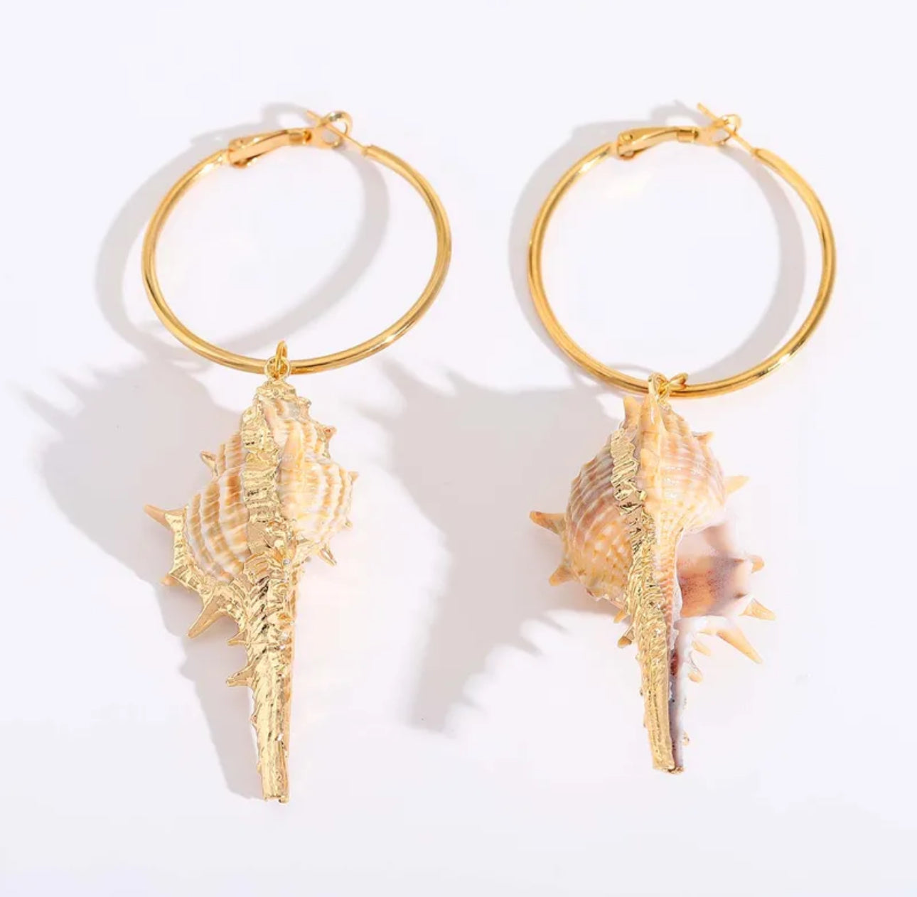 Sea shell Earrings
