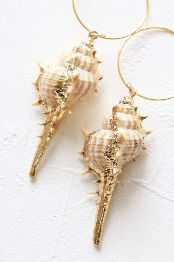 Sea shell Earrings