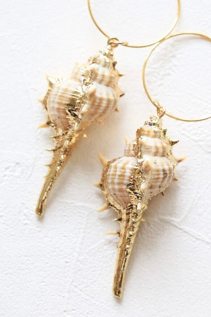 Sea shell Earrings